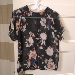 Zara Sheer Black Top